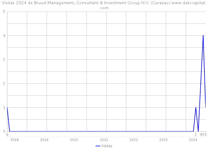 Visitas 2024 de Bruud Management, Consultant & Investment Group N.V. (Curasao) 