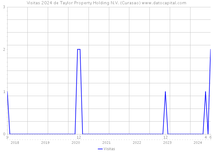 Visitas 2024 de Taylor Property Holding N.V. (Curasao) 
