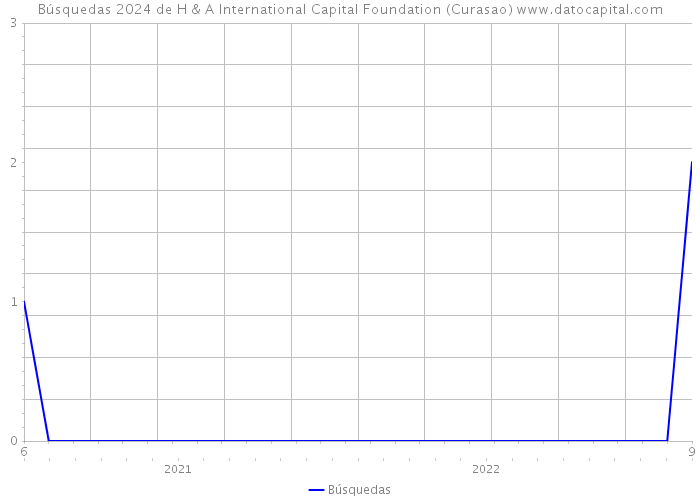 Búsquedas 2024 de H & A International Capital Foundation (Curasao) 