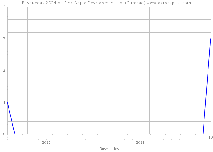 Búsquedas 2024 de Pine Apple Development Ltd. (Curasao) 