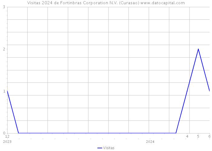 Visitas 2024 de Fortinbras Corporation N.V. (Curasao) 