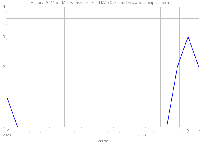 Visitas 2024 de Micos Investments N.V. (Curasao) 