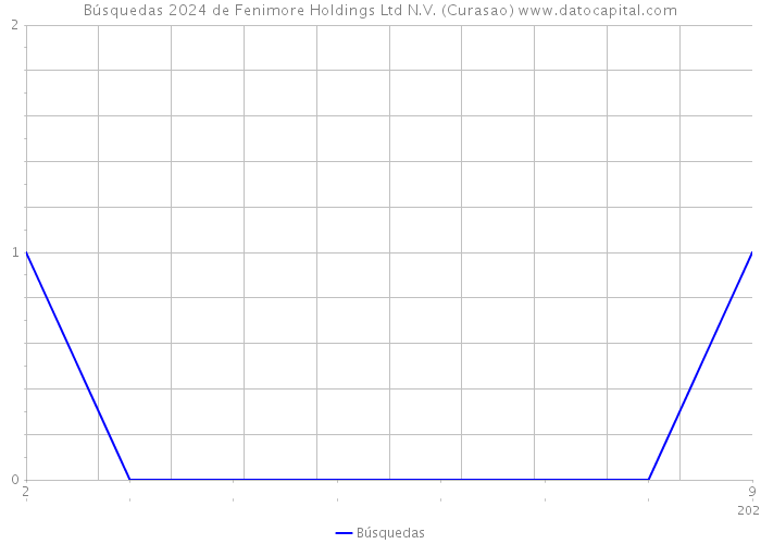 Búsquedas 2024 de Fenimore Holdings Ltd N.V. (Curasao) 