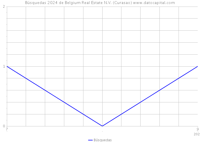 Búsquedas 2024 de Belgium Real Estate N.V. (Curasao) 