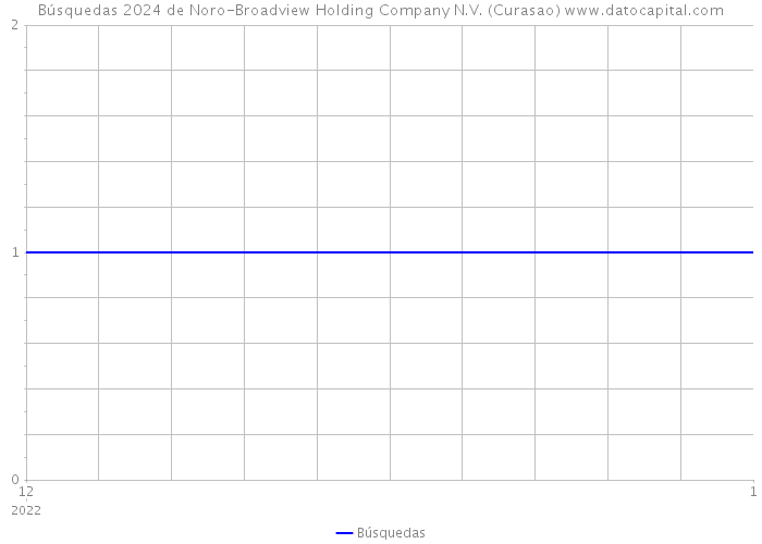 Búsquedas 2024 de Noro-Broadview Holding Company N.V. (Curasao) 