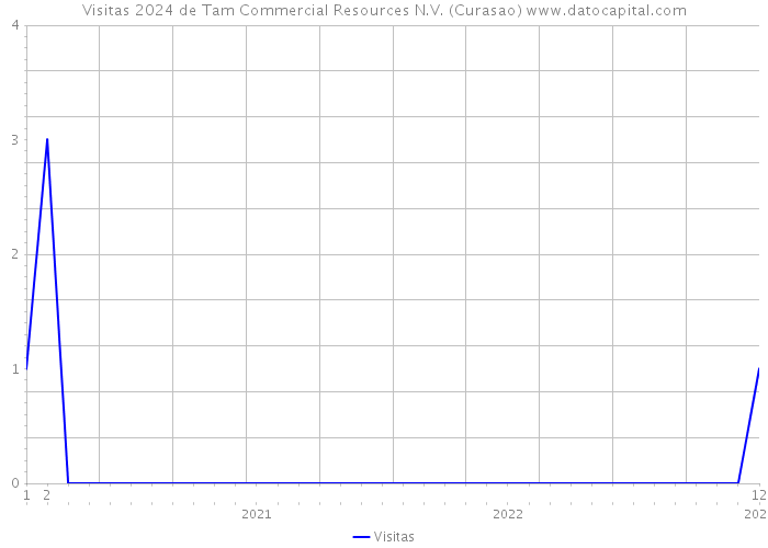 Visitas 2024 de Tam Commercial Resources N.V. (Curasao) 
