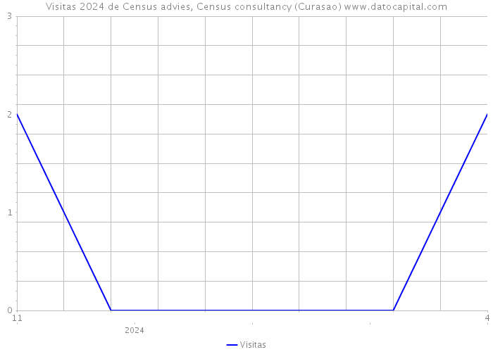 Visitas 2024 de Census advies, Census consultancy (Curasao) 