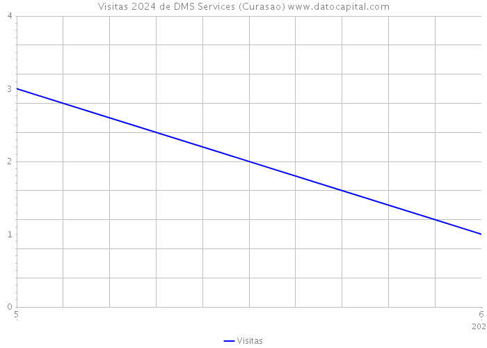 Visitas 2024 de DMS Services (Curasao) 